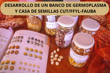 DESARROLLO DE UN BANCO DE GERMOPLASMA Y CASA DE SEMILLAS CUT/FFYL-FAUBA