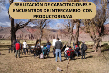 REALIZACIN DE CAPACITACIONES Y ENCUENTROS DE INTERCAMBIO  CON PRODUCTORES/AS