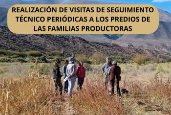 REALIZACIN DE VISITAS DE SEGUIMIENTO TCNICO PERIDICAS A LOS PREDIOS DE LAS FAMILIAS PRODUCTORAS