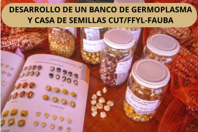 DESARROLLO DE UN BANCO DE GERMOPLASMA Y CASA DE SEMILLAS CUT/FFYL-FAUBA