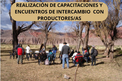 REALIZACIN DE CAPACITACIONES Y ENCUENTROS DE INTERCAMBIO  CON PRODUCTORES/AS