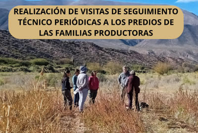 REALIZACIN DE VISITAS DE SEGUIMIENTO TCNICO PERIDICAS A LOS PREDIOS DE LAS FAMILIAS PRODUCTORAS